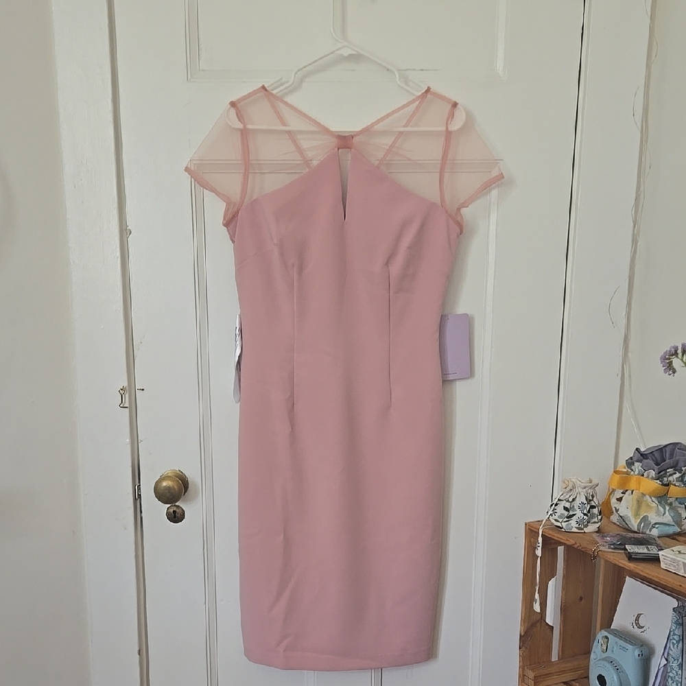 Elegant Pink Women's Dress